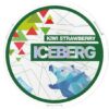 ICEBERG Kiwi Strawberry Light
