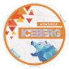 ICEBERG Arasaka Light